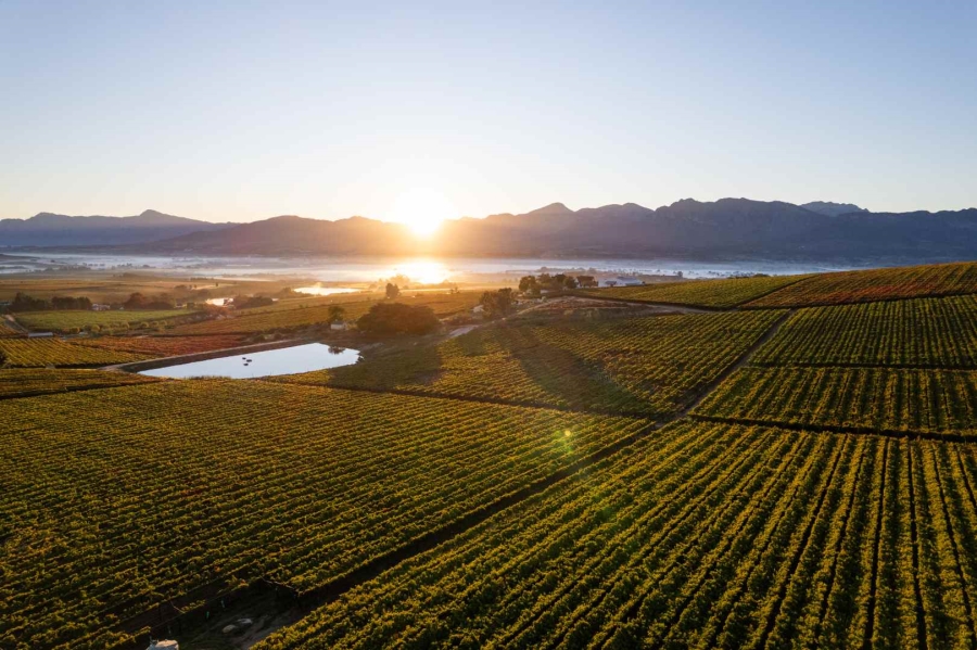 0 Bedroom Property for Sale in Windmeul Western Cape